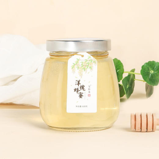 等蜂来 洋槐蜂蜜618g/瓶【CZ】 商品图3