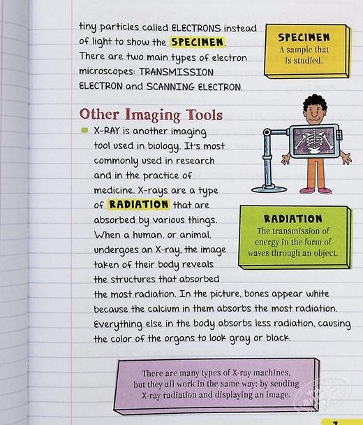 【中商原版】美国少年学霸超级笔记 生物 Everything You Need to Ace Biology in One Big Fat Notebook 英文原版 Matthew Brown 商品图5