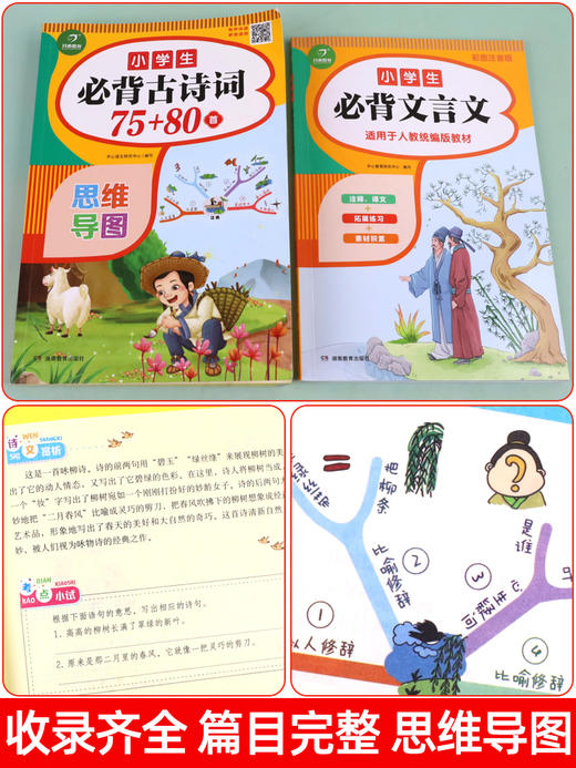 2021小学生必背古诗词75+80首必备文言文100篇1-6年级部编人教版129古诗文语文国学经典诵读三二一四五六年级唐诗宋词全套集 商品图5