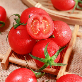 云南元谋现摘圣女果酸甜多汁果园直采不催熟不打药3斤/5斤装