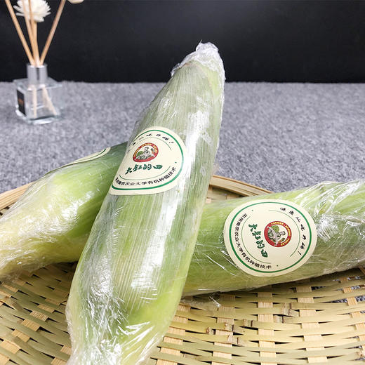 有机种植冰糖玉米 商品图2