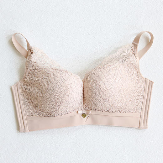 TG-TG02S120桑蚕丝薄款内衣无钢圈 真丝调整型文胸蕾丝性感睡眠胸罩 商品图4