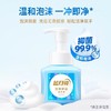 【蓝月亮】抑菌泡沫洗手液255ml琥珀雪松 商品缩略图1