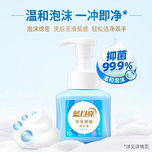 【蓝月亮】抑菌泡沫洗手液255ml琥珀雪松 商品图1