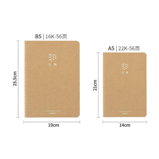 道林记忆法线装语文软抄本DL3006-A1646 商品图3