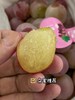 周一取货：【妮娜皇后】一箱毛重2.4斤左右，纯甜无酸，后调浓浓的红酒香味，葡萄界的天花板！ 商品缩略图3