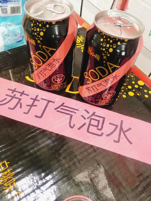 鹿小萌苏打气泡水5瓶（拼团） 商品图2