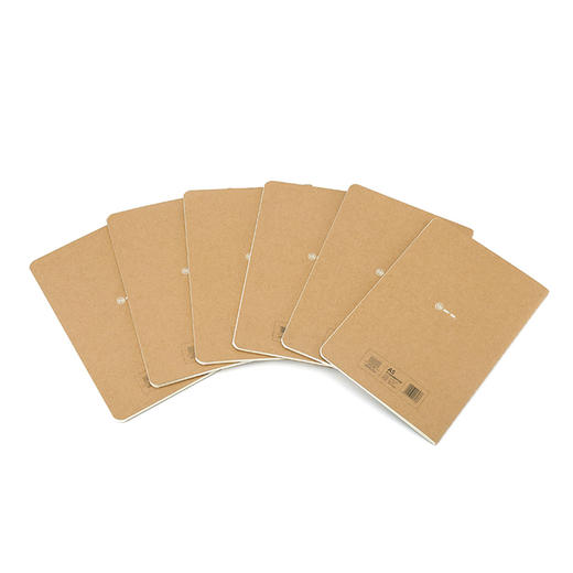 道林记忆法线装化学软抄本DL3014-A1646 商品图6