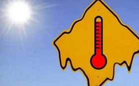 三伏天，出汗时别忘了补点它，否则可能危及生命！ 