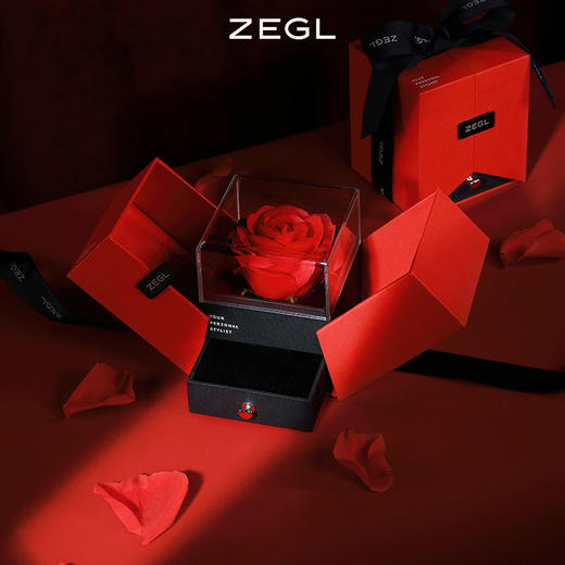 ZEGL银杏叶项链女925纯银轻奢小众锁骨链生日情人节520礼物送女友 商品图3