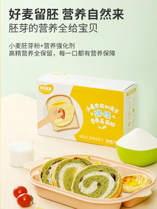 秋田满满弹性营养高筋粉1000g 商品图0