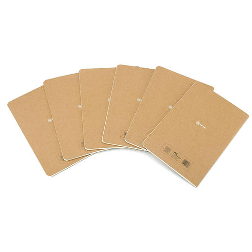 道林记忆法线装语文软抄本DL3006-A1646 商品图5