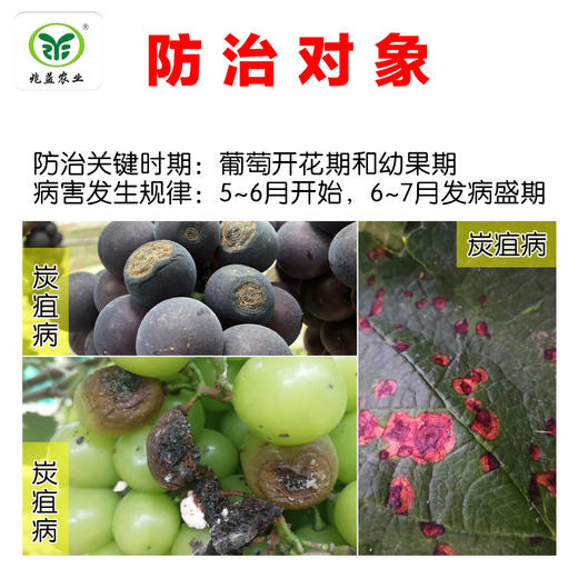势克 苯醚甲环唑（先正达）主治葡萄黑痘病、炭疽病、黑星病。 商品图1