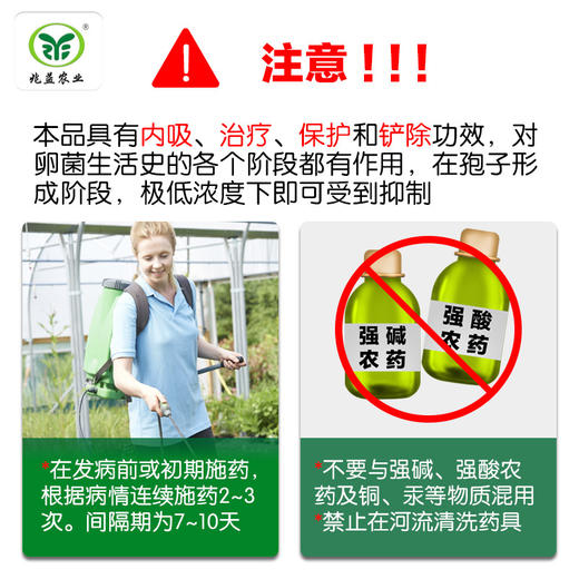 葡萄霜霉病治疗剂。博爽 烯酰吗啉80% 水分散粒剂。 商品图3