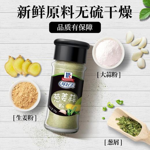 味好美（McCormicK） 葱姜蒜粉 28g 商品图2