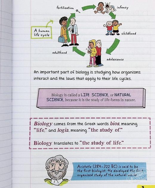 【中商原版】美国少年学霸超级笔记 生物 Everything You Need to Ace Biology in One Big Fat Notebook 英文原版 Matthew Brown 商品图7