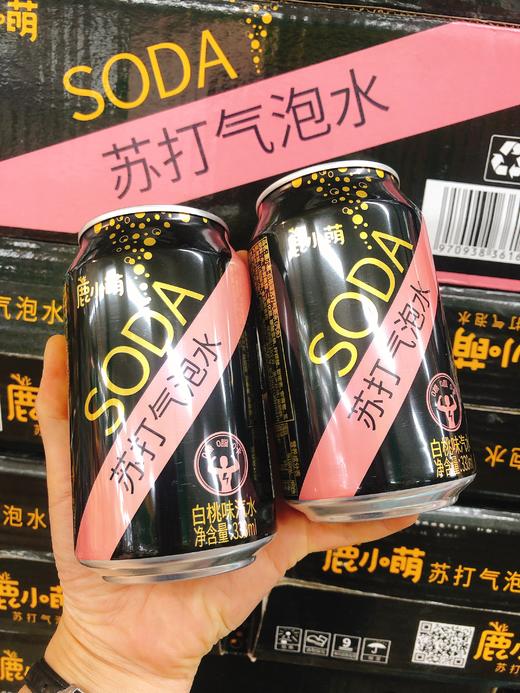 鹿小萌苏打气泡水5瓶（拼团） 商品图0