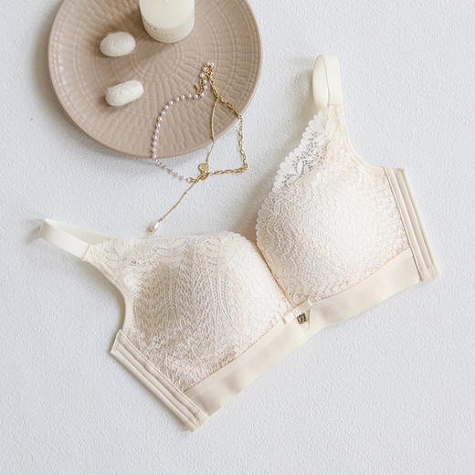 TG-TG02S120桑蚕丝薄款内衣无钢圈 真丝调整型文胸蕾丝性感睡眠胸罩 商品图6