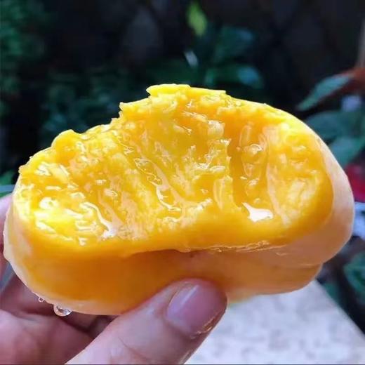 【陕西】黄蟠桃10斤（自然熟，现摘现发） 商品图1