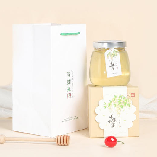 等蜂来 洋槐蜂蜜618g/瓶【CZ】 商品图0