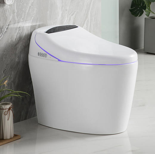 2208B智能马桶 商品图0