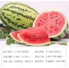 宁夏外运 硒砂瓜——正宗宁夏中卫香山富硒 硒砂瓜 8kg~10kg 商品缩略图4