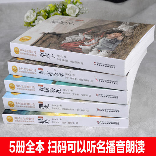 《曹文轩经典文学系列 》朗读版 （共5册） 商品图1