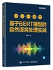 基于BERT模型的自然语言处理实战 商品缩略图0