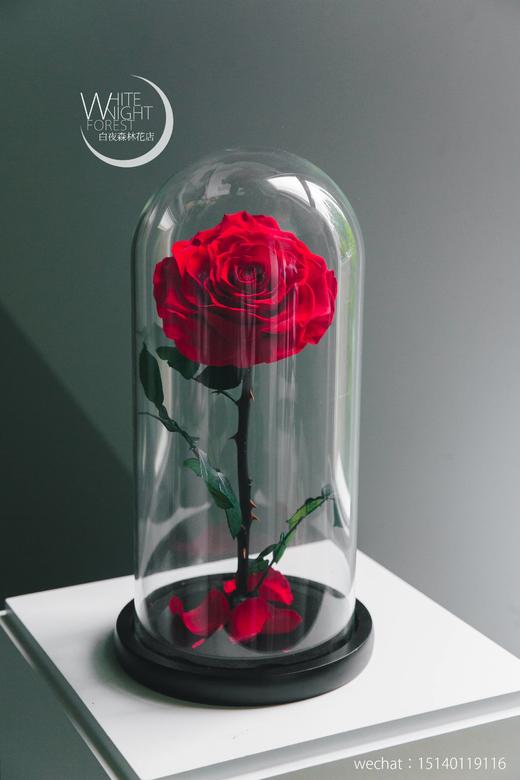 小王子永生花玻璃罩玫瑰花 商品图8
