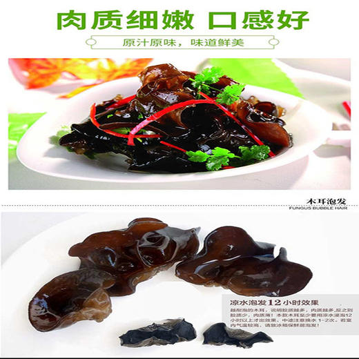 重庆 巫溪红池中岗原 干木耳 250g/袋 商品图3