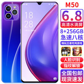 2021新款全网通智能手机6.5寸大屏八核处理器2400万像素手机