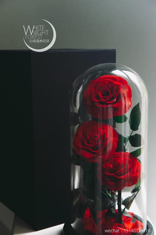 小王子永生花玻璃罩玫瑰花 商品图6