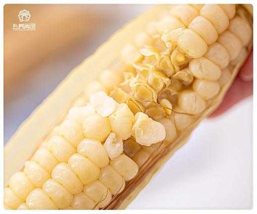 珍珠小玉米 商品图1