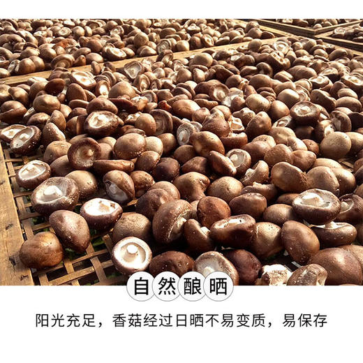 巫溪红池坝镇香菇（茶花菇）干香菇 250g/袋 商品图5