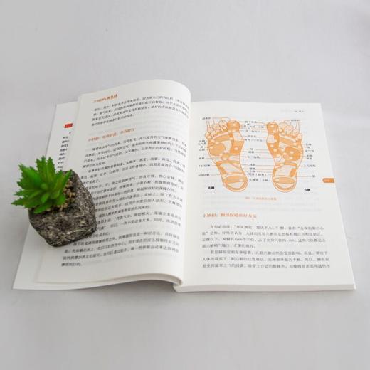 二十四节气养生经 商品图6