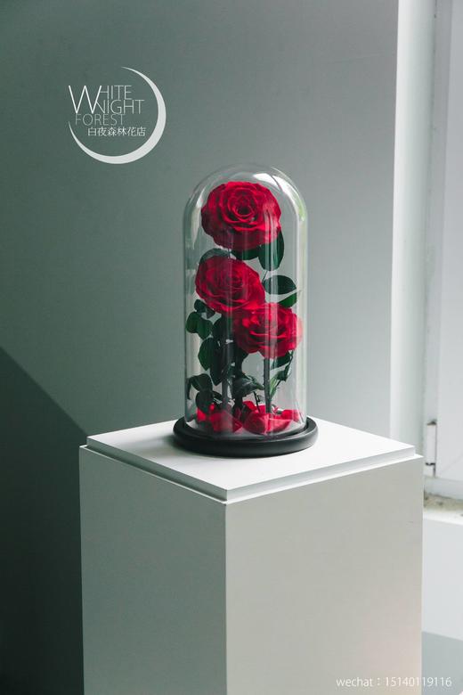 小王子永生花玻璃罩玫瑰花 商品图7