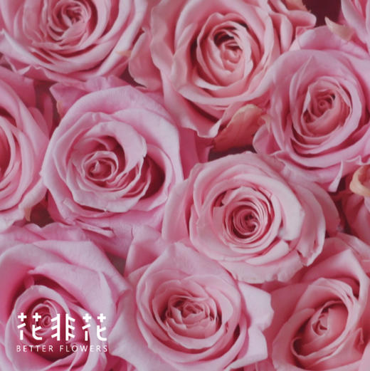 《一见倾心》  永生花盒 商品图3