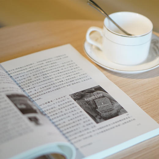 解码广告：广告的意识形态与含义 商品图5