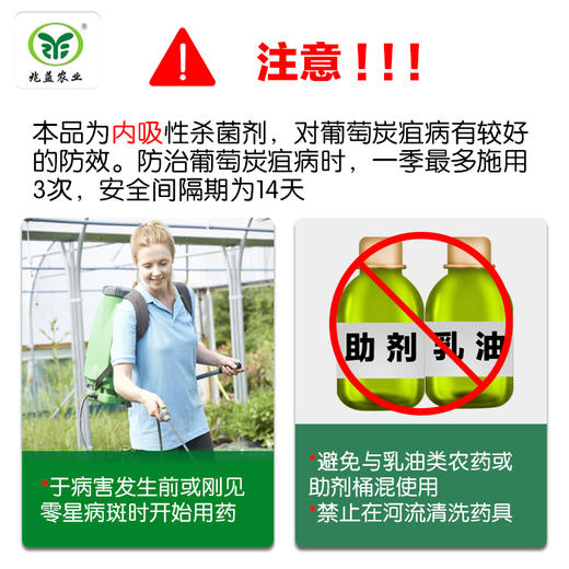 加望 苯甲 嘧菌酯    防治葡萄霜霉病、炭疽病、黑痘病 商品图3