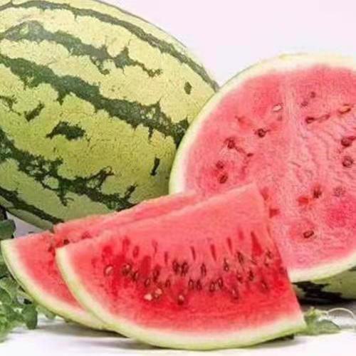 宁夏外运 硒砂瓜——正宗宁夏中卫香山富硒 硒砂瓜 8kg~10kg 商品图1