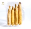 珍珠小玉米 商品缩略图3