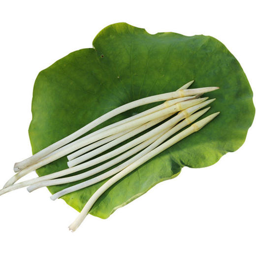 藕尖  约500g 商品图0