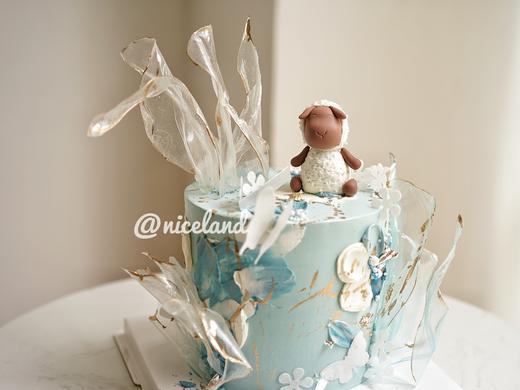 定制小动物 商品图1