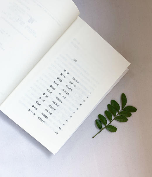 萨伏罗拉 记忆的角落 3001013 商品图3