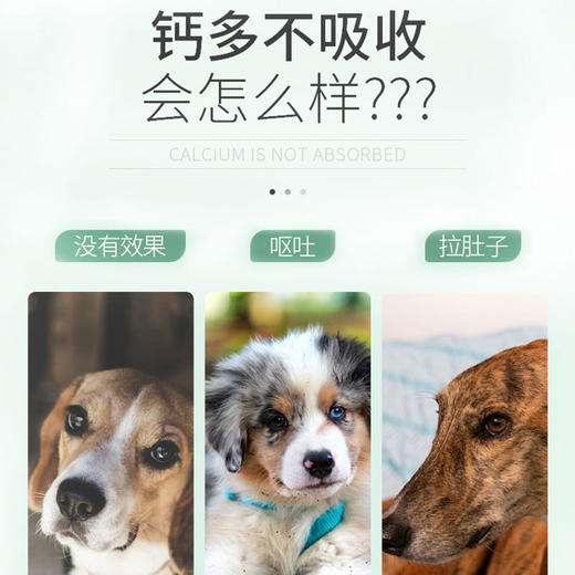 宠安仕大骨牛乳钙片180粒宠物泰迪金毛幼犬健骨补钙猫狗通用【全渠道销售】 商品图2