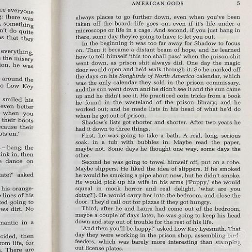 【中商原版】尼尔盖曼 美国众神 American Gods 英文原版 Neil Gaiman 豆瓣高分 商品图6