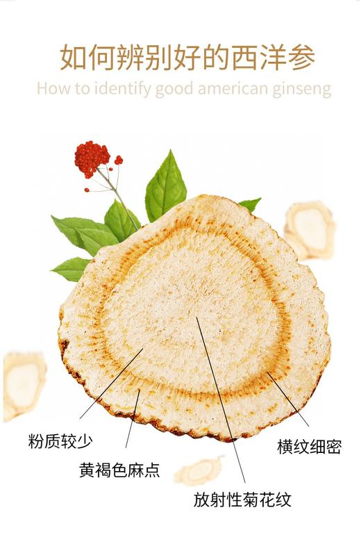 Ocean Feast加拿大西洋参切片礼盒装（跨境） 商品图6