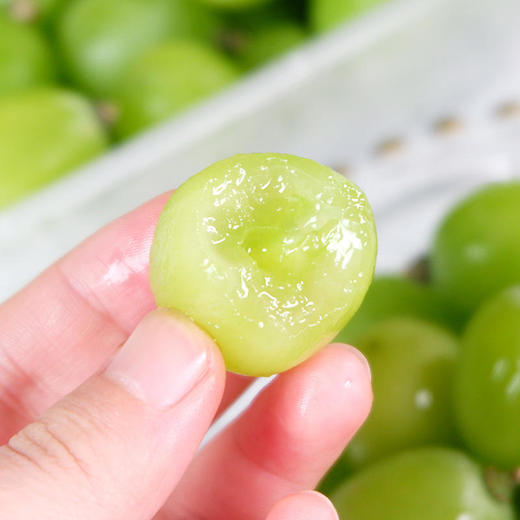 【阳光玫瑰】云南晴王玫瑰葡萄无籽青提皮薄肉厚水润多汁连皮食用2斤/3斤精品颗粒装 商品图2