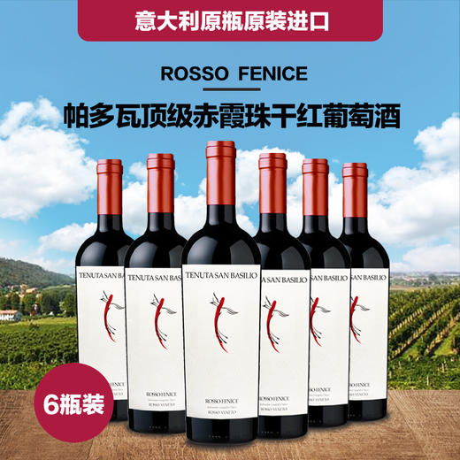 一箱 意大利帕多瓦赤霞珠干红葡萄酒 750ML 酒精度14.5%  原瓶原装进口 商品图0