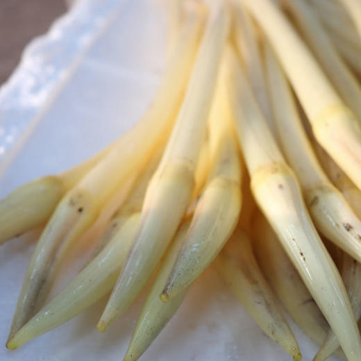 藕尖  约500g 商品图1